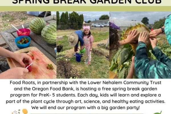 SPACES AVAILABLE!  Food Roots Spring Break Garden Club at Alder Creek Farm – March 25-29