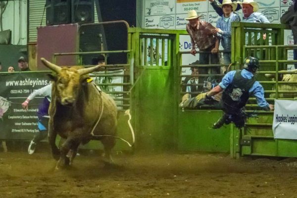 Bulls & Broncs Back at Tillamook Fairgrounds March 9th – Get Your Tickets Today!