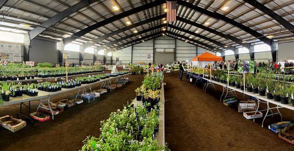 MARK YOUR CALENDAR! Tillamook County Master Gardener Association 2024 Annual Plant Sale May 4th